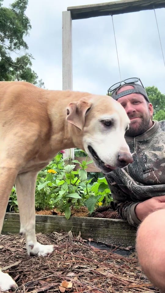 Post 9 by Florida Dad on TikTok (video)