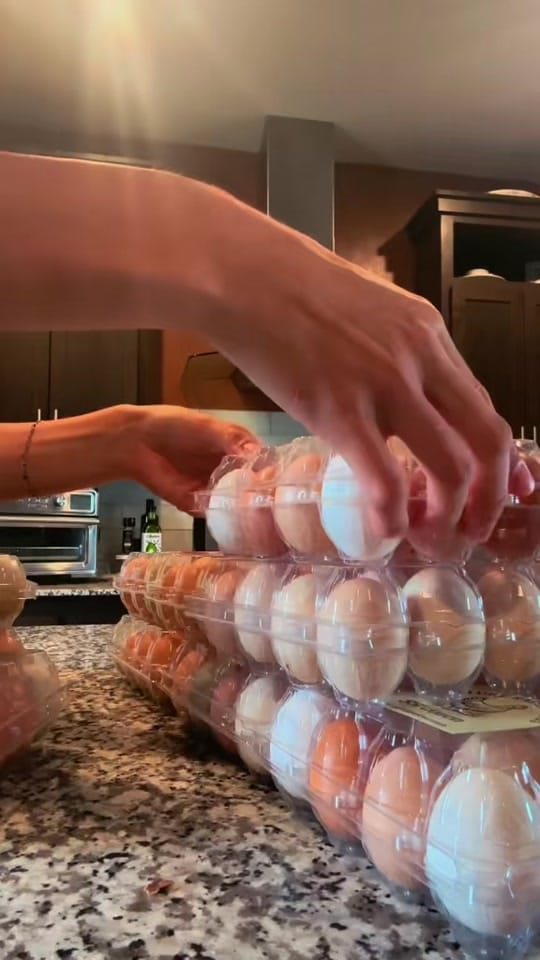 Post 4 by ɴᴏʀᴛʜ ᴅᴀᴋᴏᴛᴀ ᴄʜɪᴄᴋᴇɴ 10-ᴅᴇʀ on TikTok (video)
