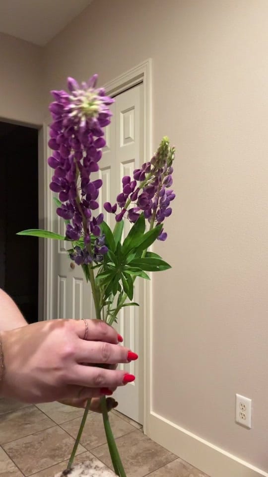 Post 4 by Diana Mosina on TikTok (video)
