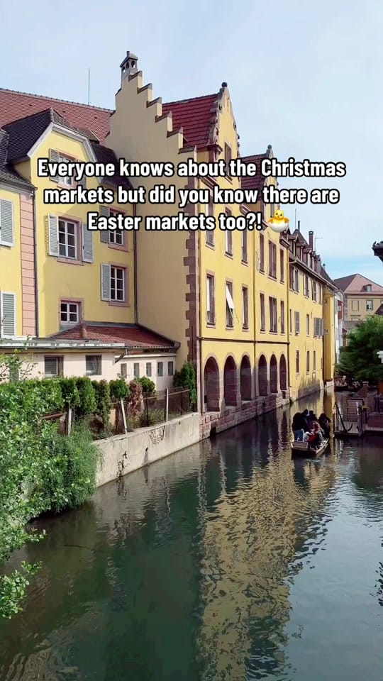 Post 7 by Jessica Wilkinson on TikTok (video)