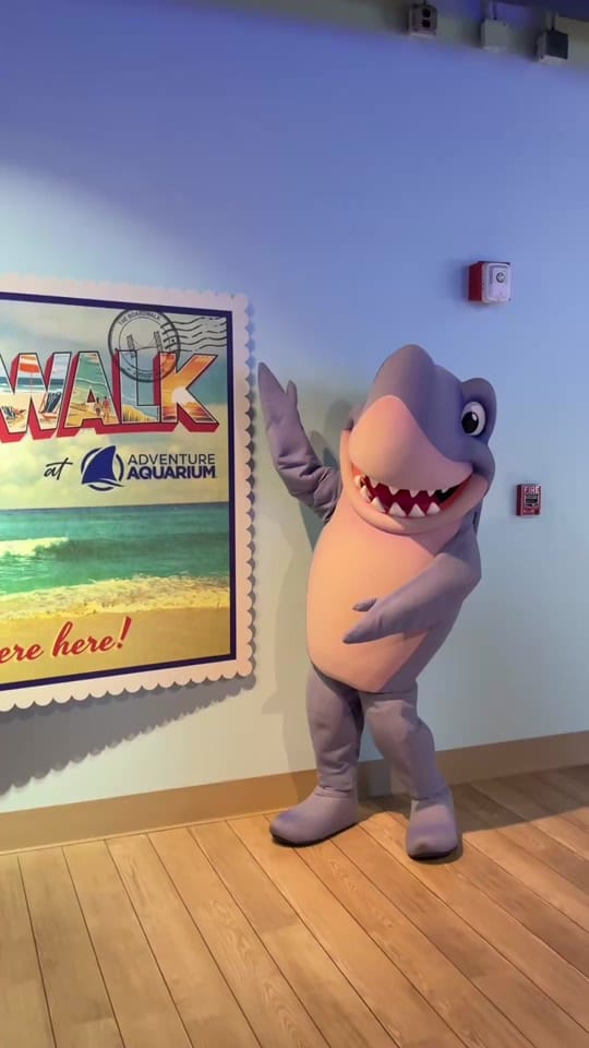 Post 8 by Adventure Aquarium on TikTok (video)