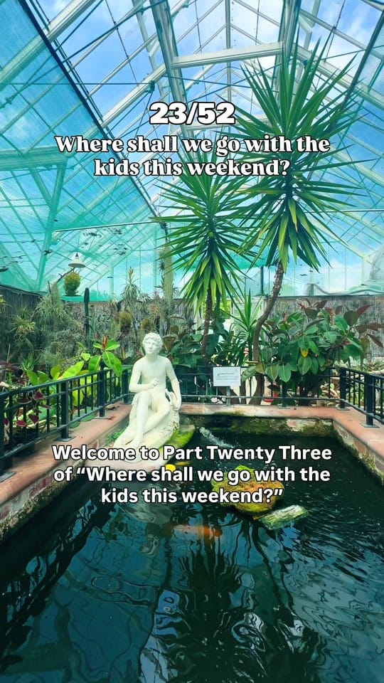 Post 5 by Charlotte | Family Adventures on TikTok (video)