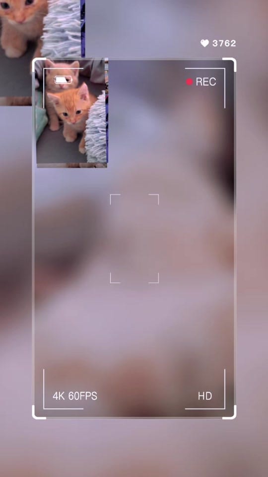 Post 1 by Mueller's Homestead on TikTok (video)