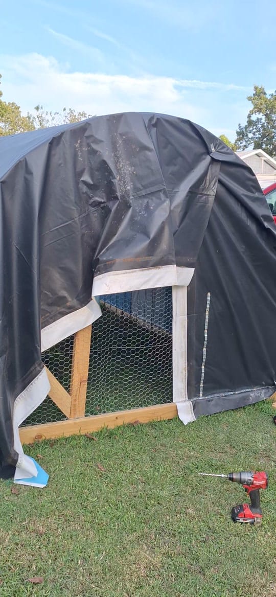 Post 10 by Mueller's Homestead on TikTok (video)