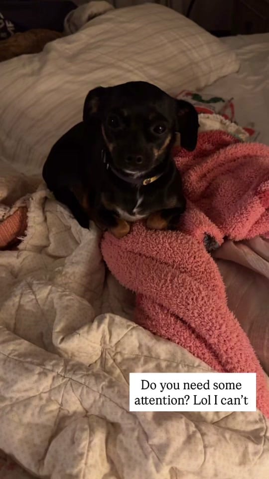 Post 8 by Jessica Arnold on TikTok (video)