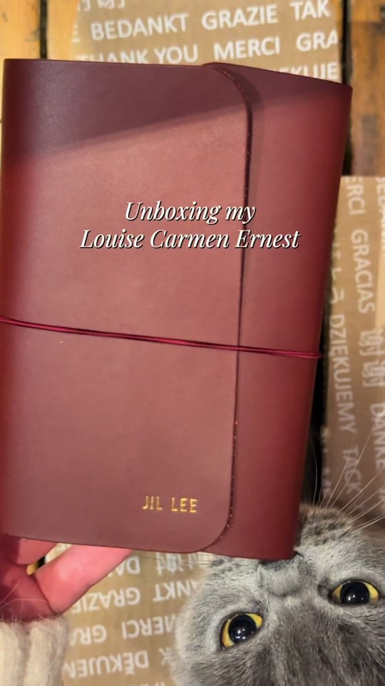 Post 7 by Jil Lee on TikTok (video)