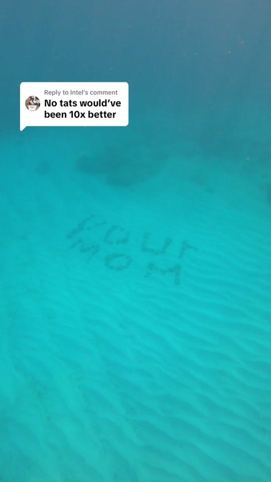 Post 3 by Hayley on TikTok (video)