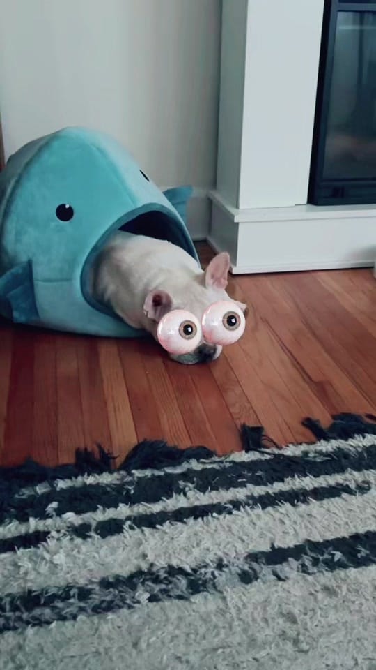 Post 5 by Emmy on TikTok (video)