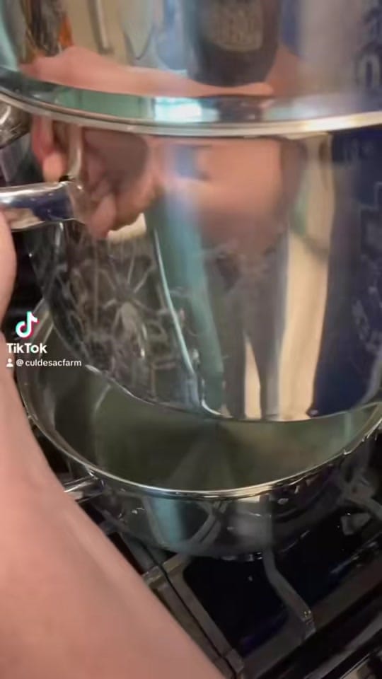 Post 2 by culdesacfarm on TikTok (video)