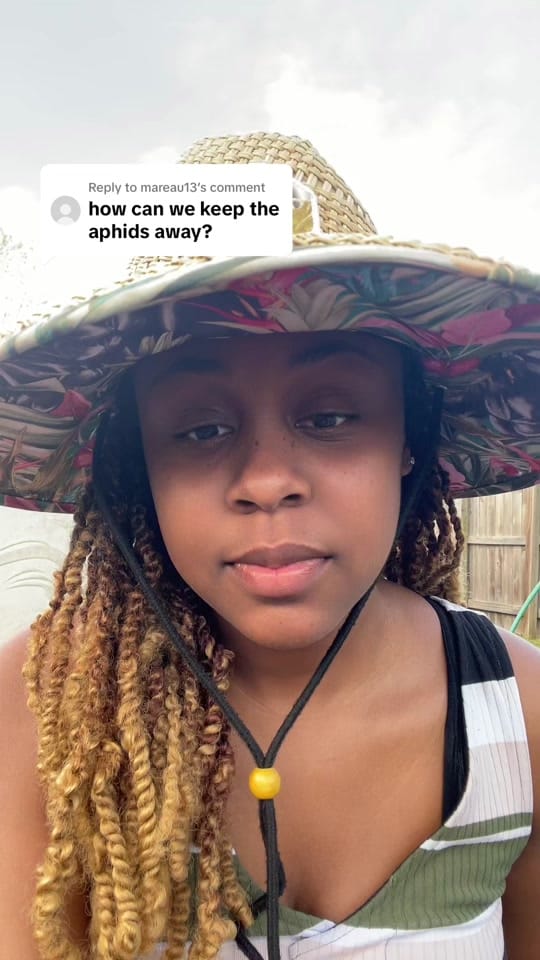 Post 9 by Taja’s Garden | Realtor ®️ on TikTok (video)