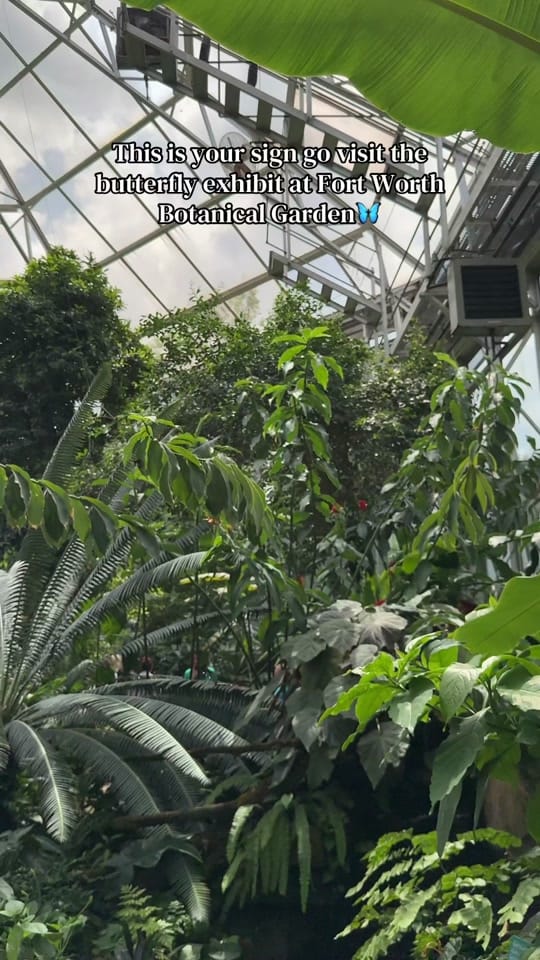 Post 5 by Her Garden Blooms🌸 on TikTok (video)