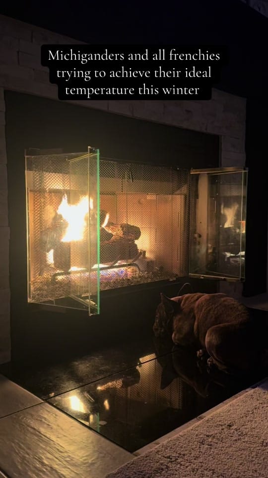 Post 9 by Carly Elizabeth on TikTok (video)