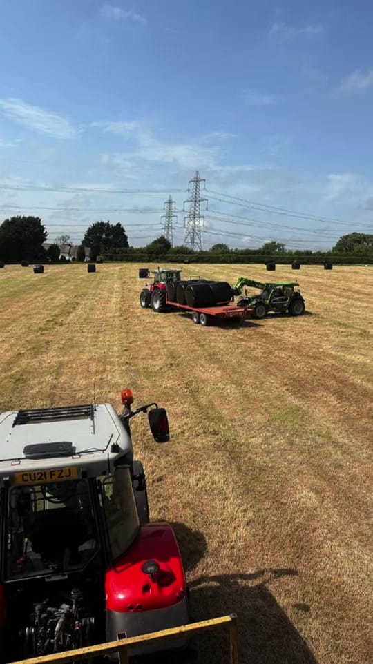 Post 4 by FollyFarmWales on TikTok (video)