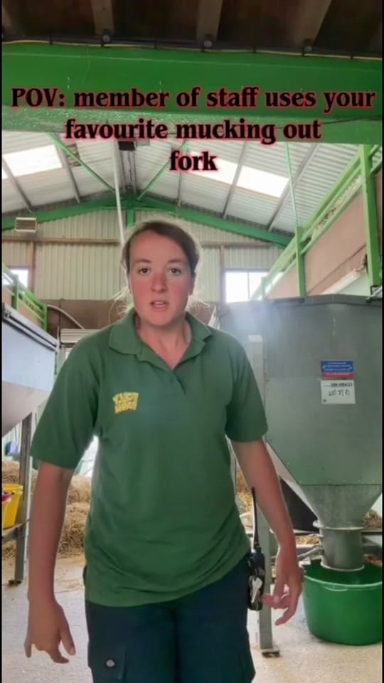 Post 2 by FollyFarmWales on TikTok (video)