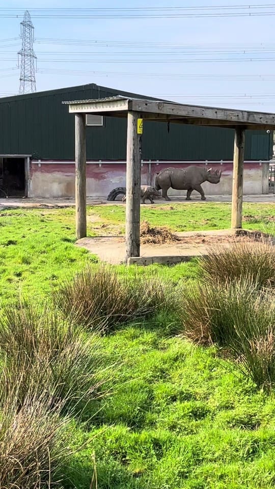 Post 8 by FollyFarmWales on TikTok (video)
