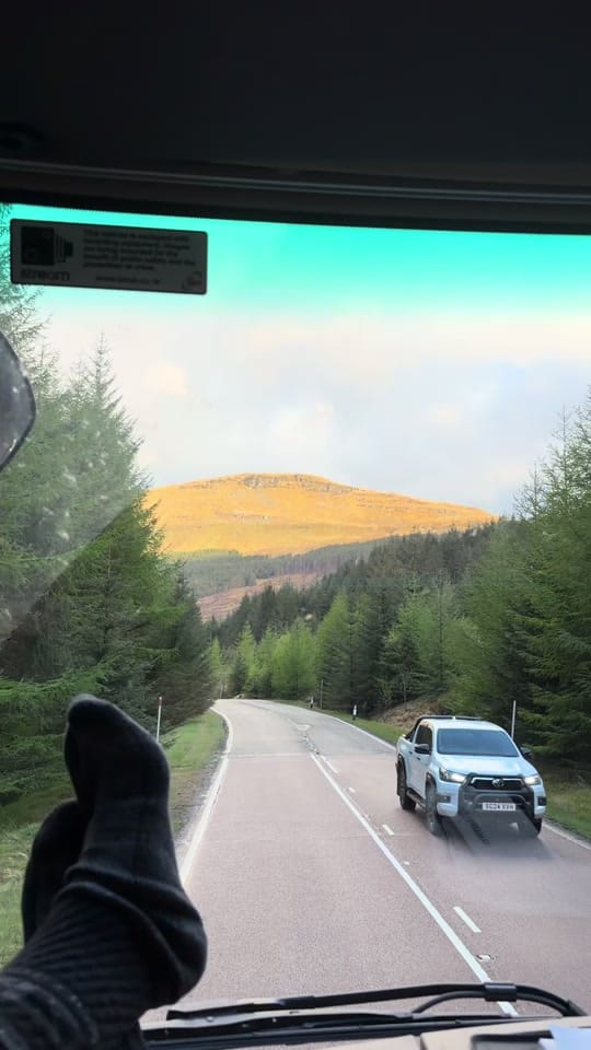 Post 2 by IAmThePassenger on TikTok (video)