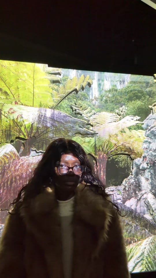 Post 10 by Dr Jess|Travel.Art.Culture🇬🇭 on TikTok (video)