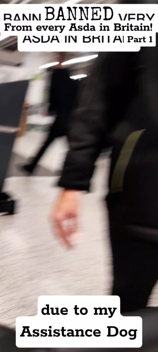 Post 2 by Genie's Dream on TikTok (video)