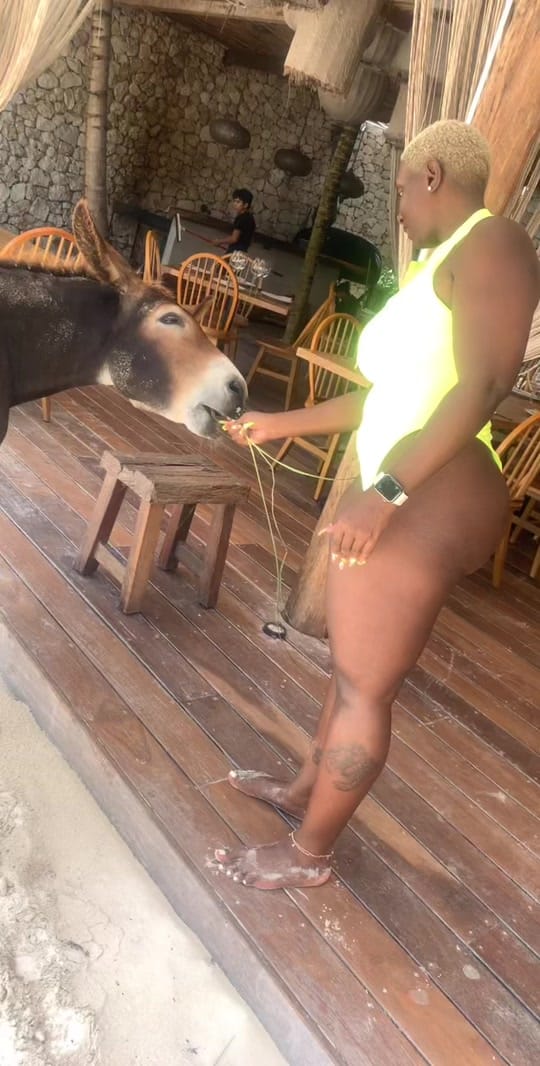 Post 10 by DM Aesthetics Interiors on TikTok (video)