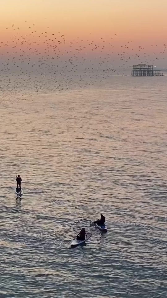 Post 6 by Innit Hotels on TikTok (video)