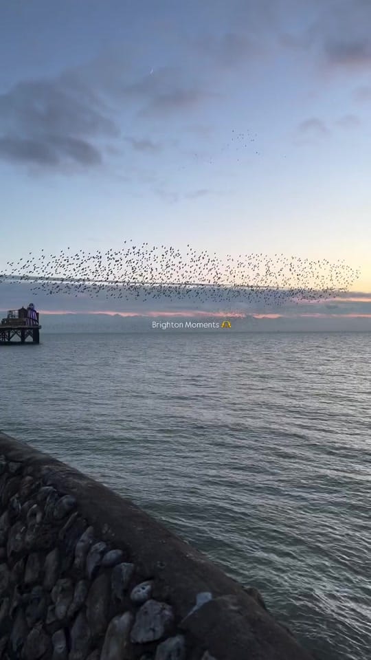 Post 9 by Innit Hotels on TikTok (video)