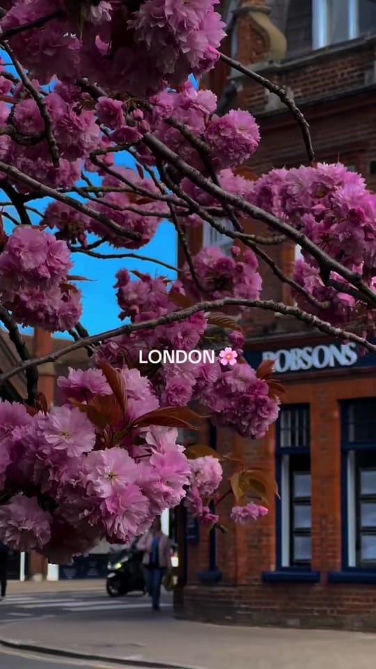 Post 7 by My London Videos on TikTok (video)