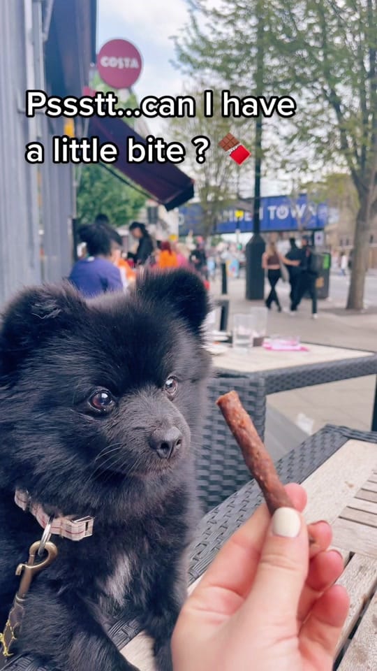 Post 9 by Brompton Bear 🐻 on TikTok (video)