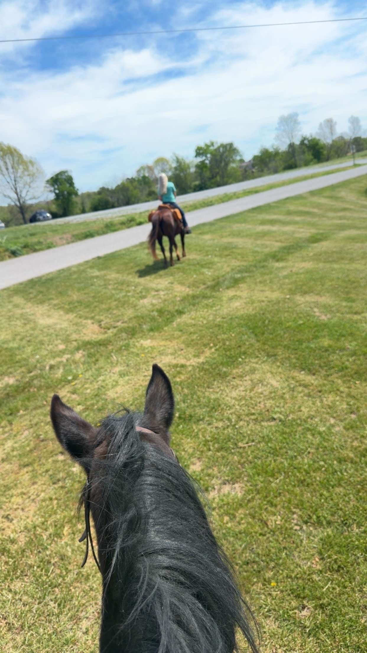 Post 6 by Kentucky•Mama🖤 on TikTok (video)