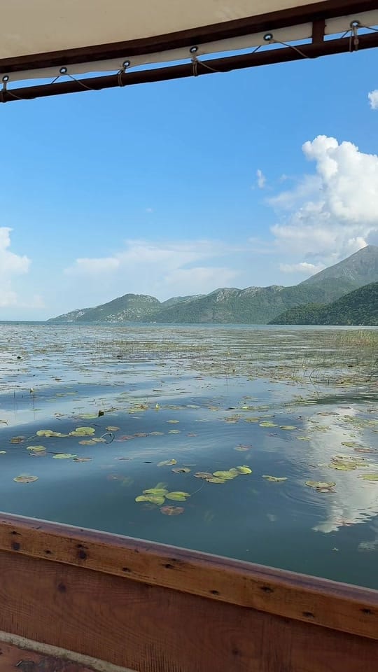 Post 6 by TheTravelingDoctors on TikTok (video)