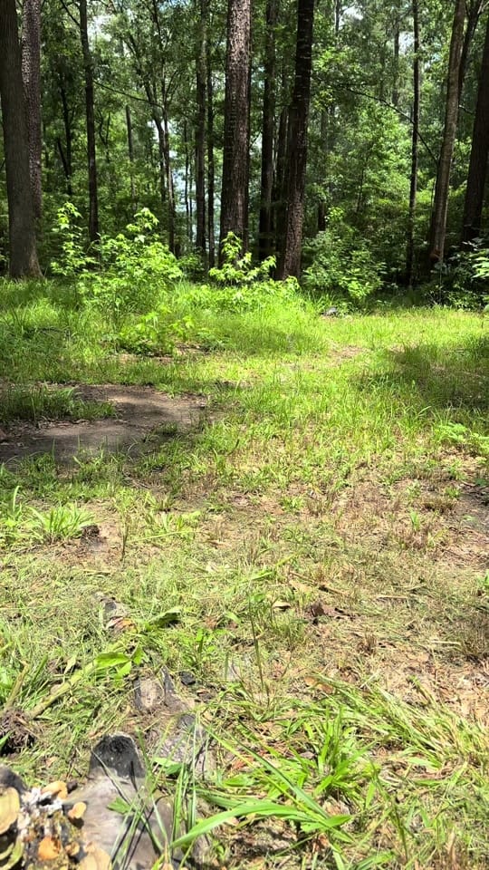 Post 1 by teakdust on TikTok (video)