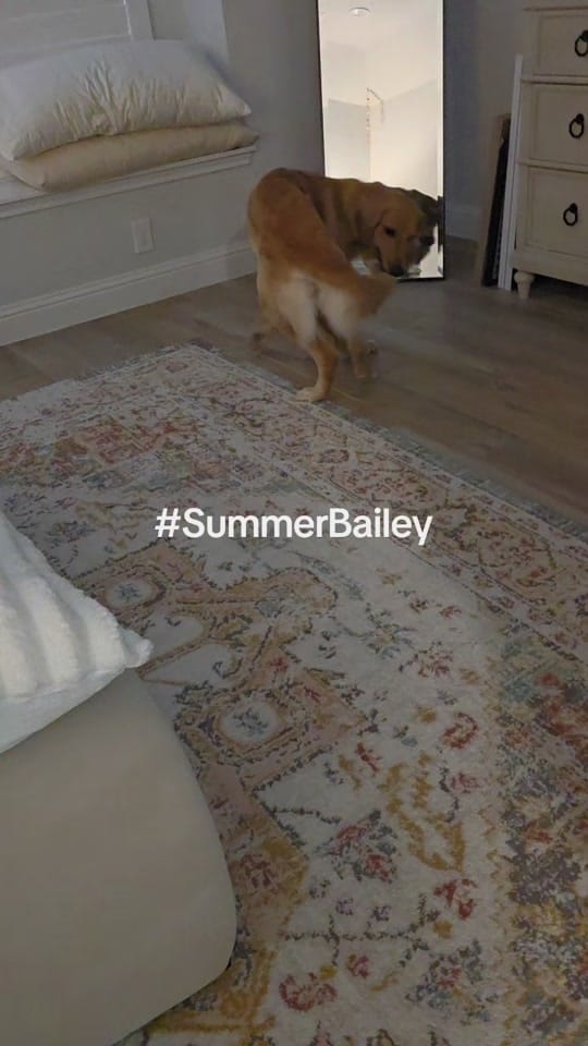 Post 2 by Once upon a Beach on TikTok (video)
