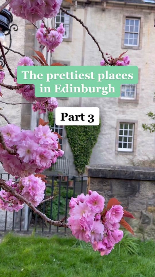 Post 6 by Cat Thomson on TikTok (video)