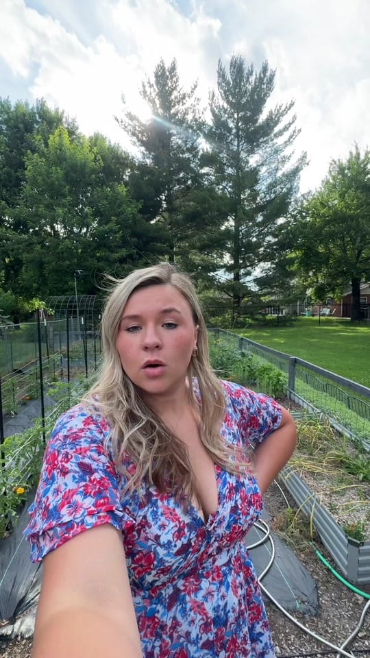 Post 2 by Taylor Biehl on TikTok (video)