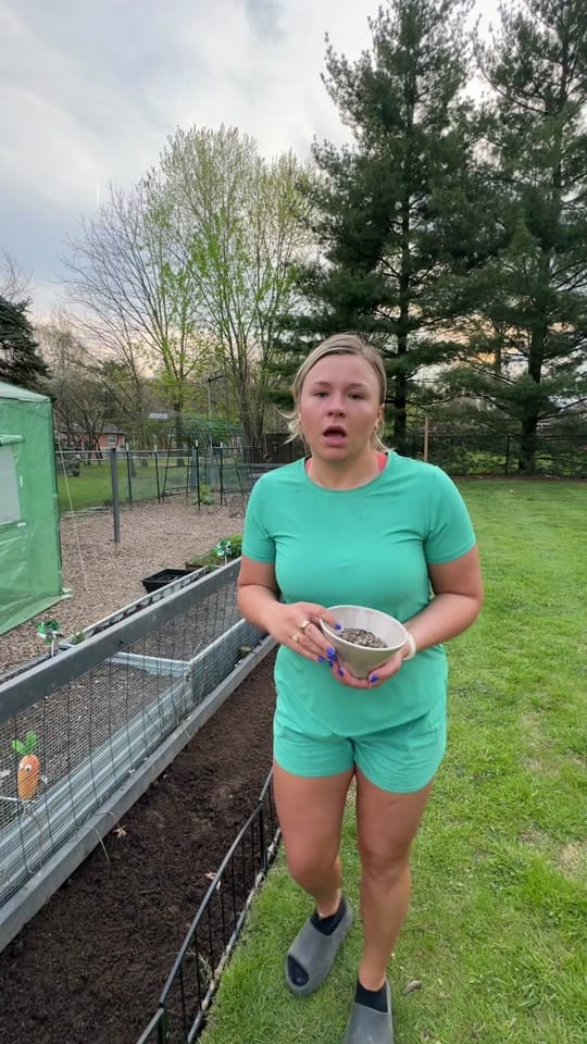 Post 9 by Taylor Biehl on TikTok (video)