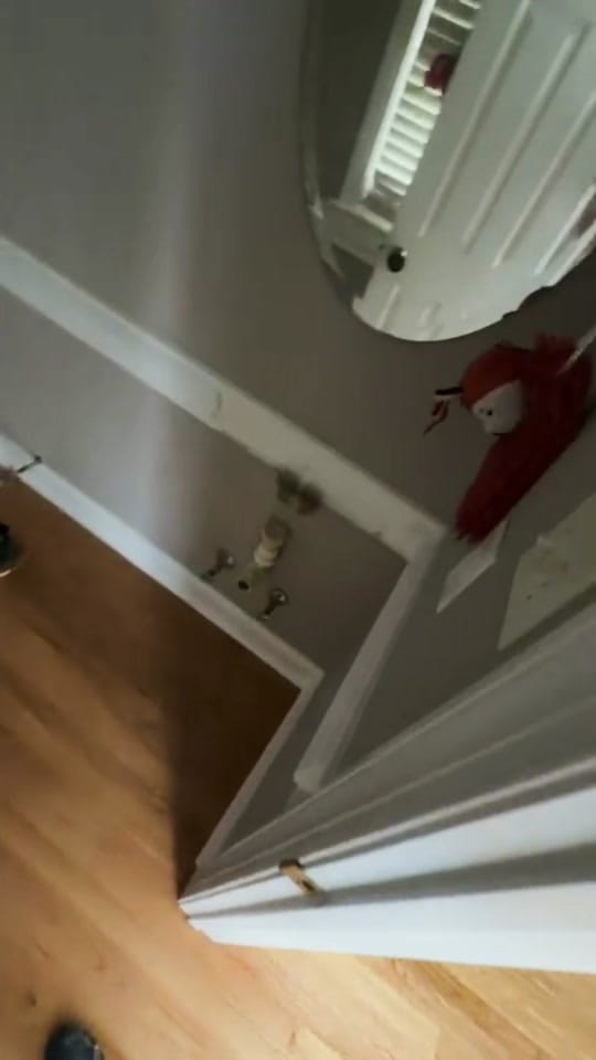 Post 6 by TyTheFloorGuy on TikTok (video)