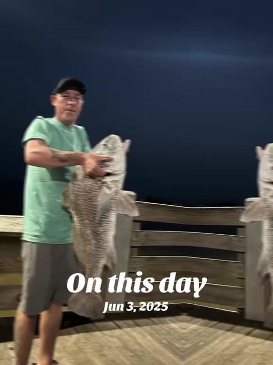 Post 9 by homegrown_gulfcoast🐙🐥 on TikTok (video)