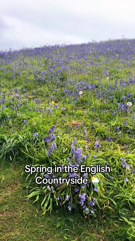Post 5 by Manor Cottages Cotswolds on TikTok (video)