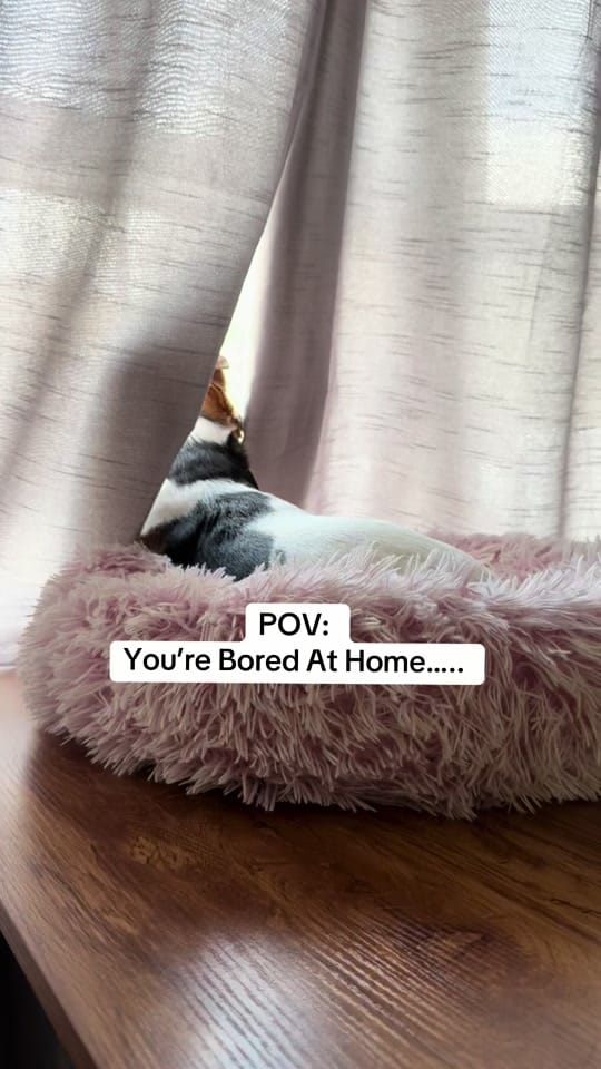 Post 2 by Dr Monica Peres Oikeh on TikTok (video)