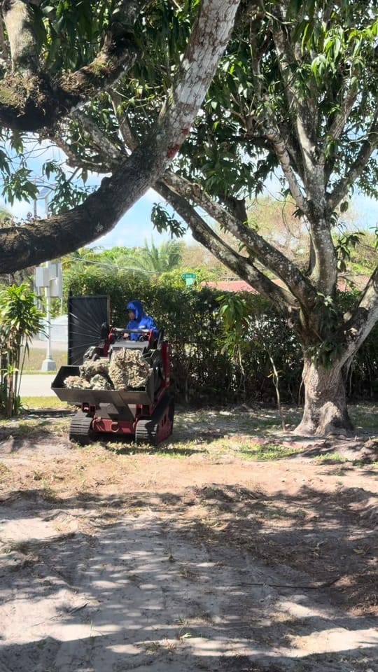 Post 8 by Landscaping Miami | Bulfrano H on TikTok (video)