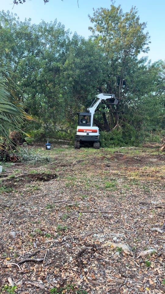 Post 10 by Landscaping Miami | Bulfrano H on TikTok (video)