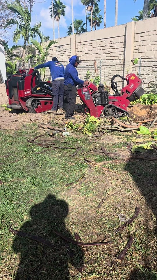 Post 7 by Landscaping Miami | Bulfrano H on TikTok (video)