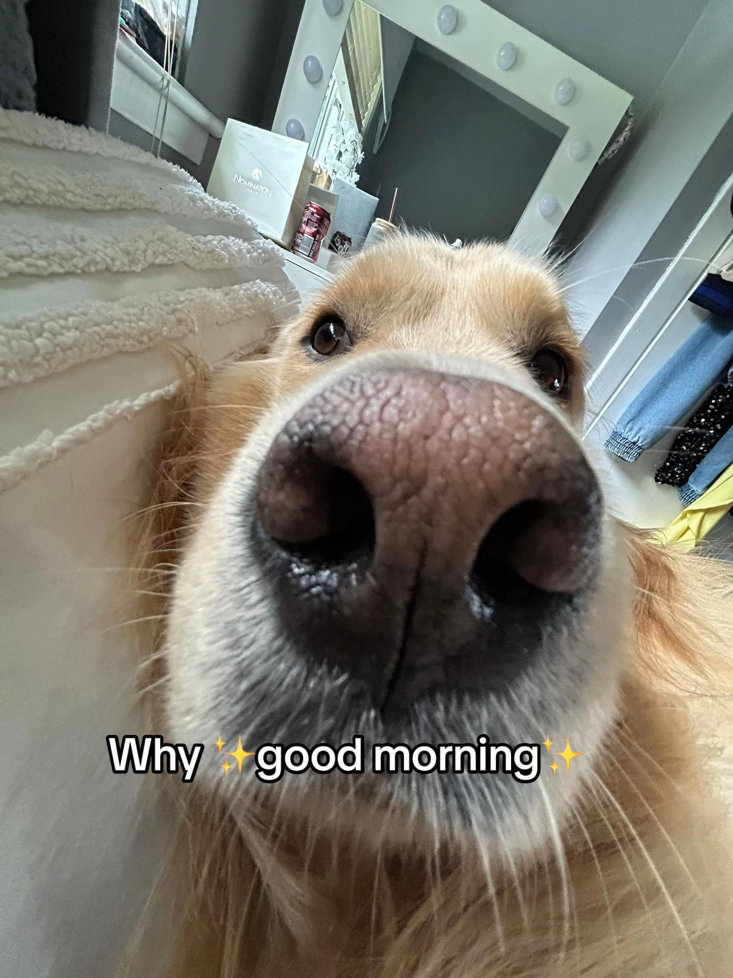 Post 9 by Benji The Golden on TikTok (video)