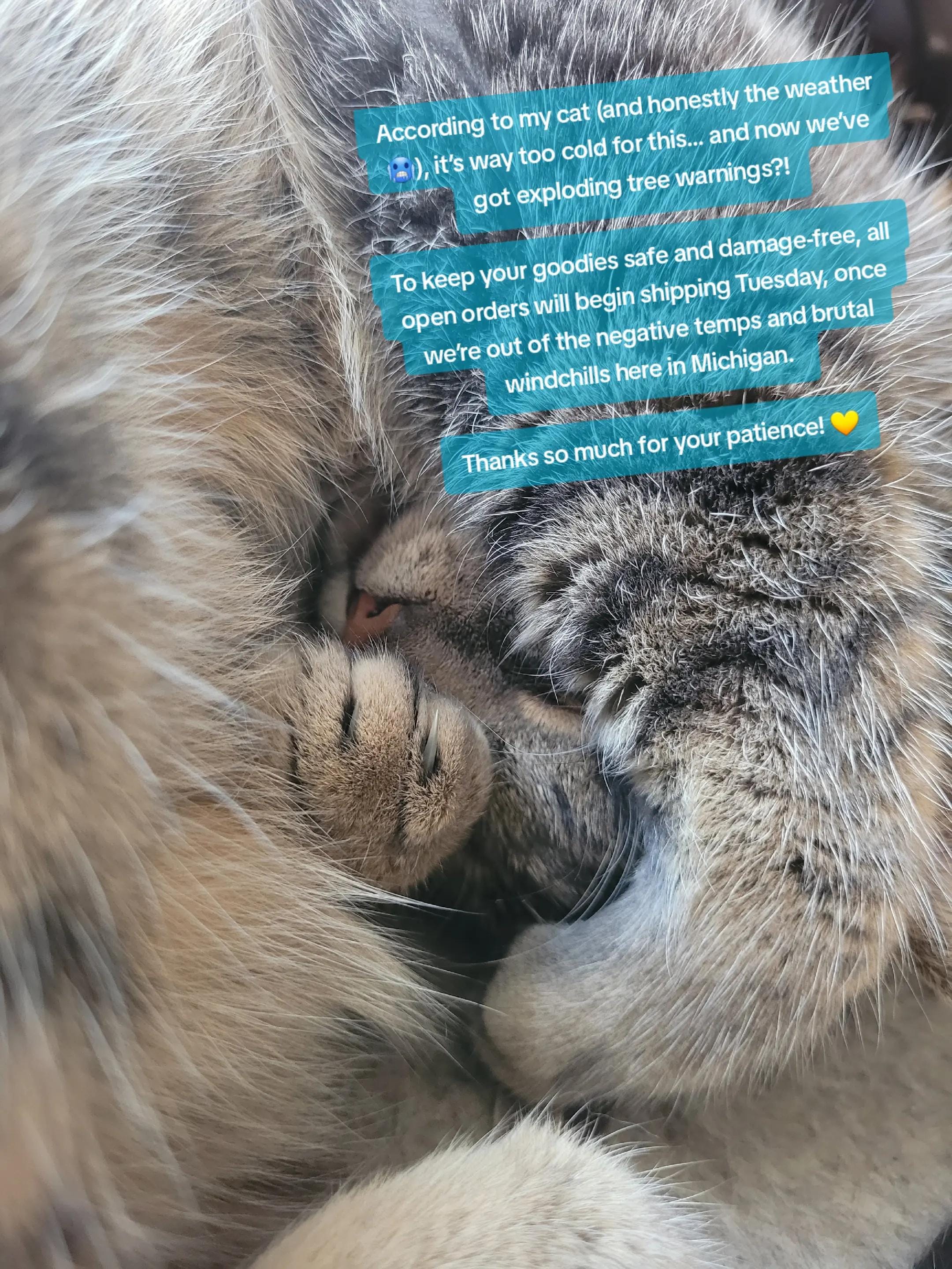 Post 2 by Crafty Mom Candles on TikTok (video)