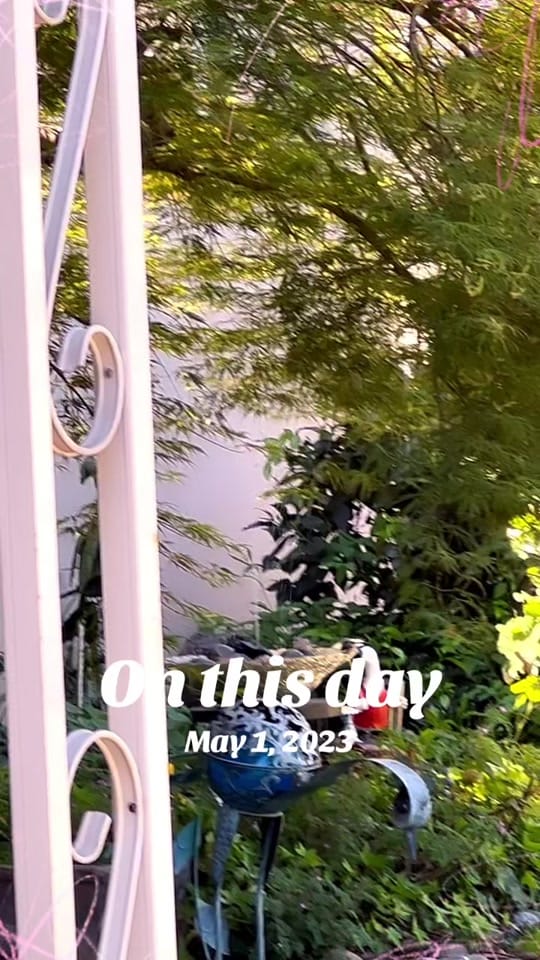 Post 2 by tiramisu on TikTok (video)