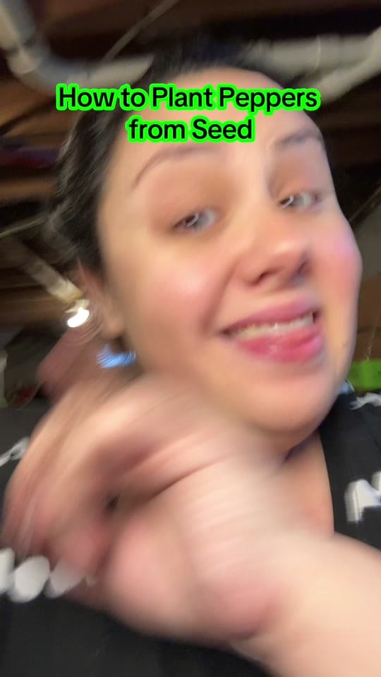 Post 8 by WonderfullyOrdinary-5b on TikTok (video)