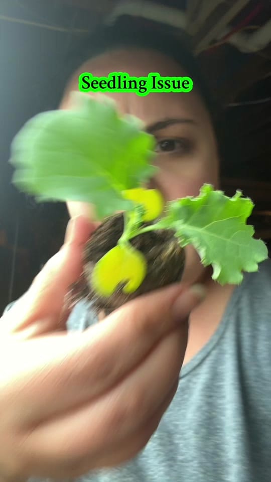 Post 10 by WonderfullyOrdinary-5b on TikTok (video)