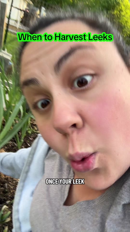 Post 6 by WonderfullyOrdinary-5b on TikTok (video)