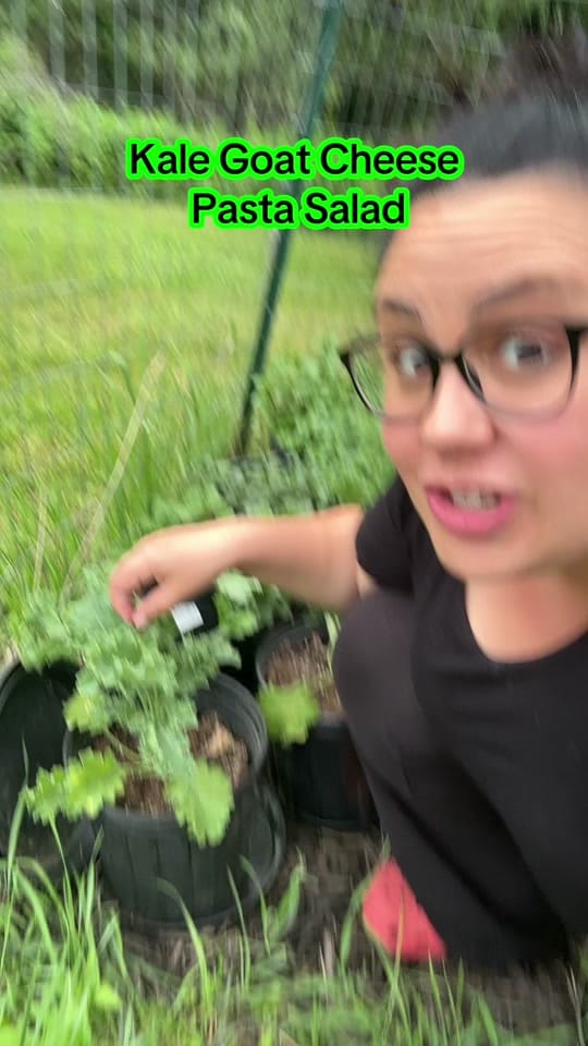 Post 2 by WonderfullyOrdinary-5b on TikTok (video)
