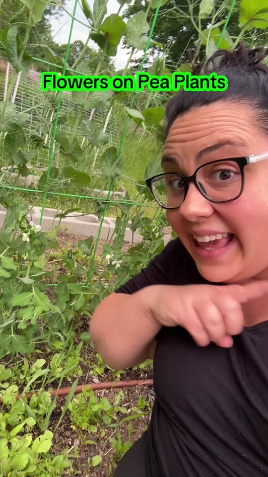 Post 3 by WonderfullyOrdinary-5b on TikTok (video)
