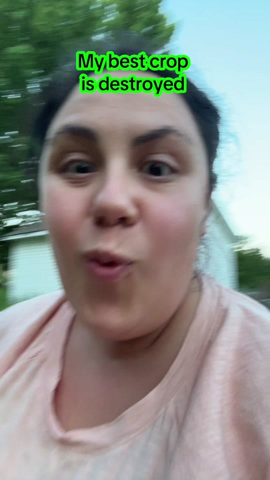 Post 1 by WonderfullyOrdinary-5b on TikTok (video)